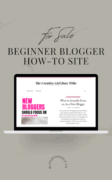 Beginner Blogging Tips Site For Sale