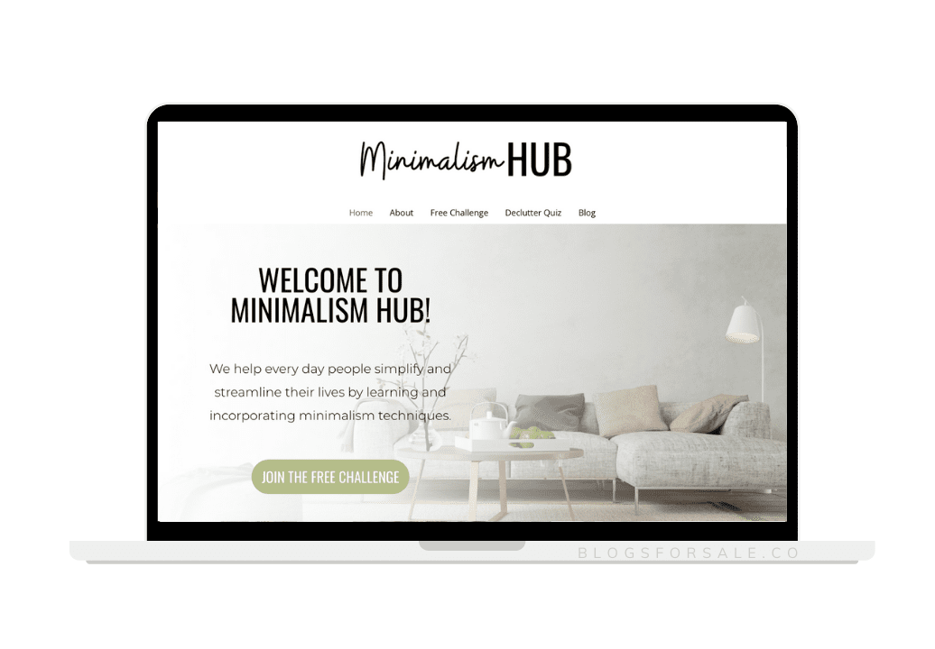minimalism niche site for sale