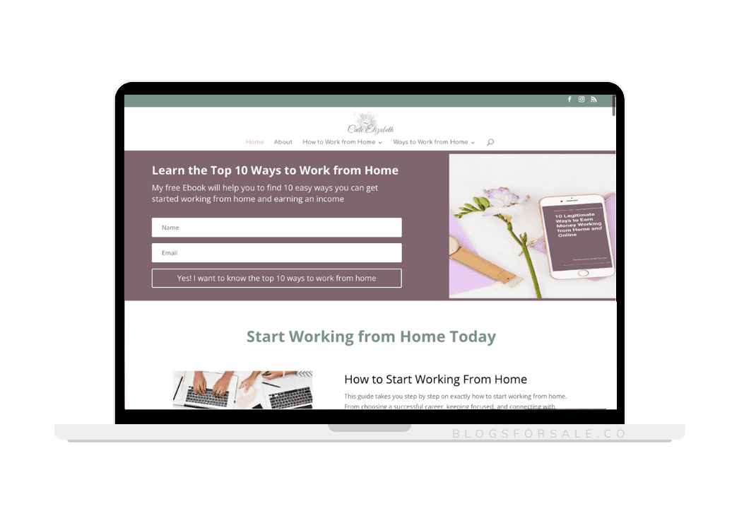 work from home mom site for sale