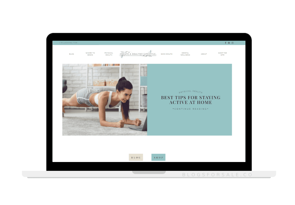 Sold: Healthy Lifestyle Niche Site With Premium Domain 1