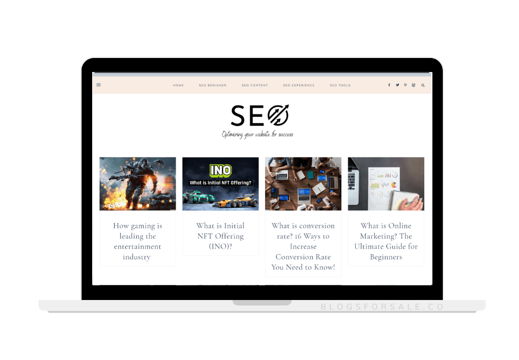 SEO Content Blog niche site for sale. Search Engine Optimization Website for sale