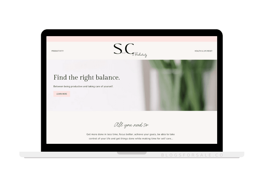 Sold: Selfcare And Productivity Niche Site With Exact Match Domain 5