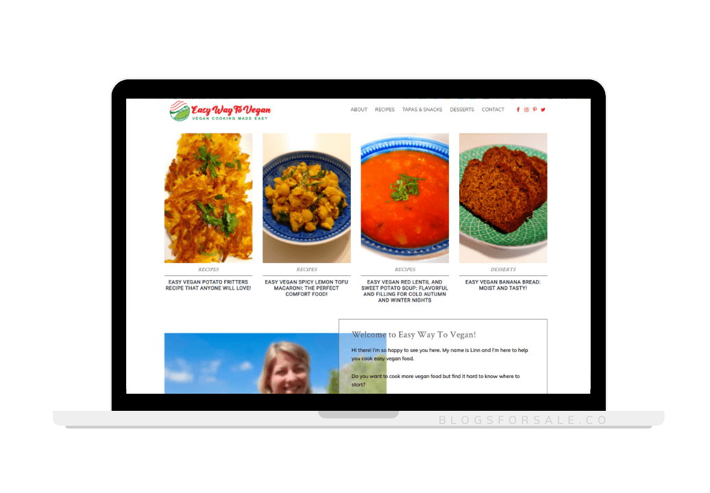Sold: Vegan Cooking Recipe Niche Starter Site On Premium Domain 3