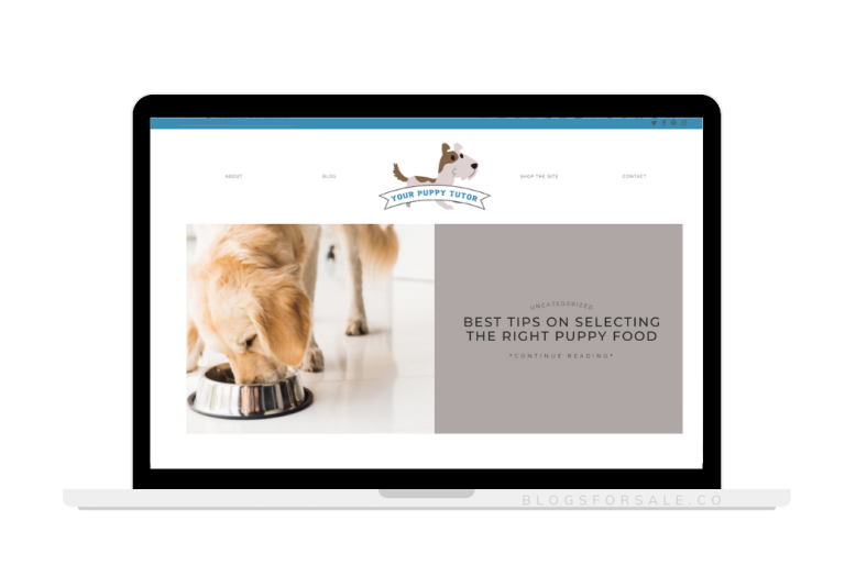 puppy training blog for sale