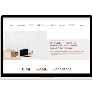 the blogger haven blogging and digital marketing website for sale