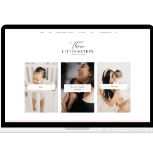 thoselittesteps baby and childcare niche website for sale monetized through affiliate links on amazon shareasale