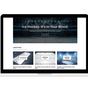 hockey brief website page