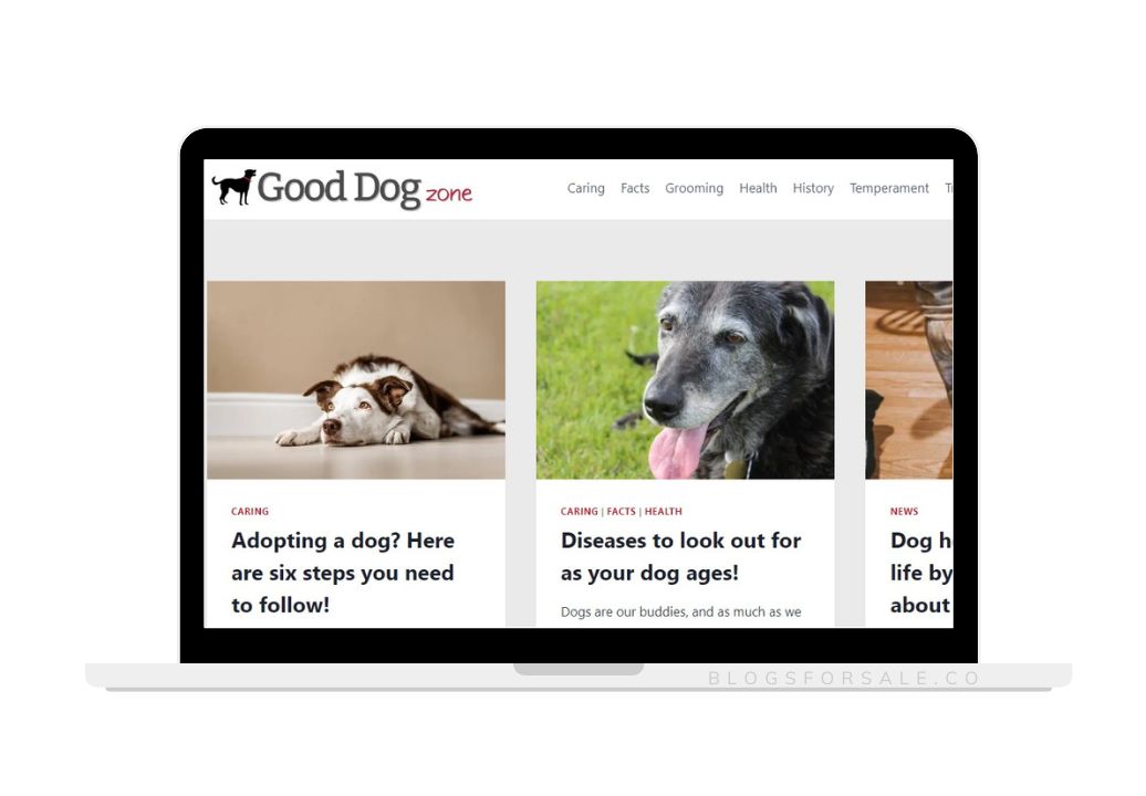 Front page of the dog training blog
