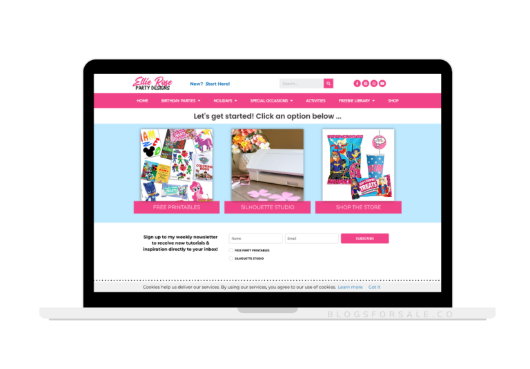 party planning website for sale