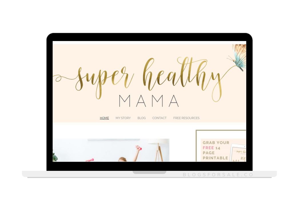 cover image for super fit mom blog